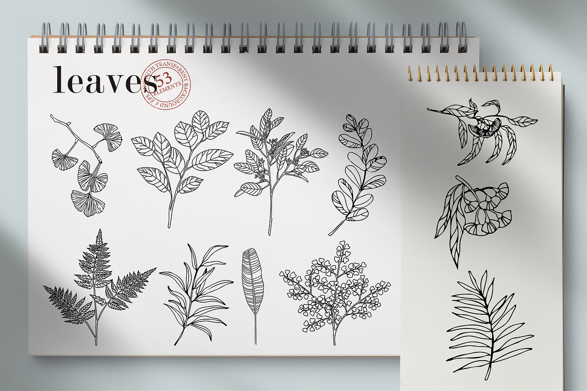 Flowers Line Hand Drawn, a Decorative Illustration by LanaDzi (Photo 7 of 10)