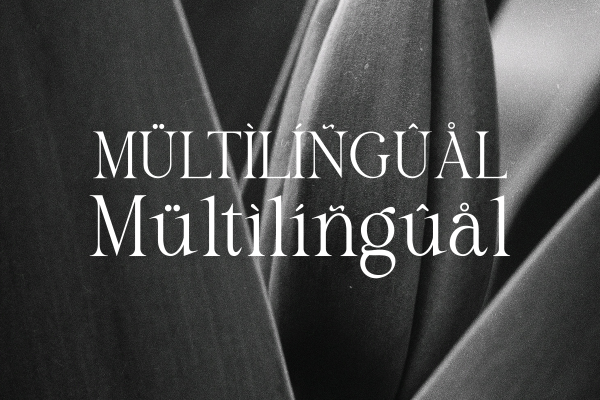 Salsify - Classic Thin Serif, a Serif Font by Pandeka Studio (Photo 12 of 12)