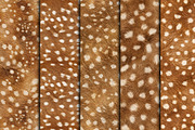 Realistic Fawn Print Fur Texture, a Pattern Graphic by Artonix (Thumbnail 2 of 4)