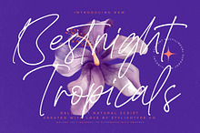Bestnight Tropicals Ballpoint Script