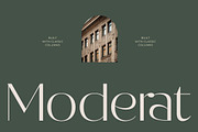 Raslera Modern Serif Display, a Sans Serif Font by timelesstype.co (Thumbnail 4 of 20)