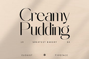 Elegist, a Sans Serif Font by Nathatype (Thumbnail 6 of 10)