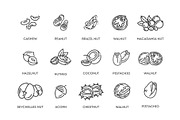 Nuts and Beans Icons, a Food Illustration by Tettygreen (Thumbnail 2 of 3)