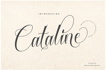Cataline Script, a Script Font by cooldesignlab