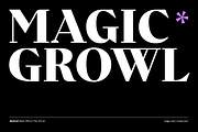Abstract - Family 50% off, a Serif Font by Los Andes Type (Thumbnail 3 of 15)
