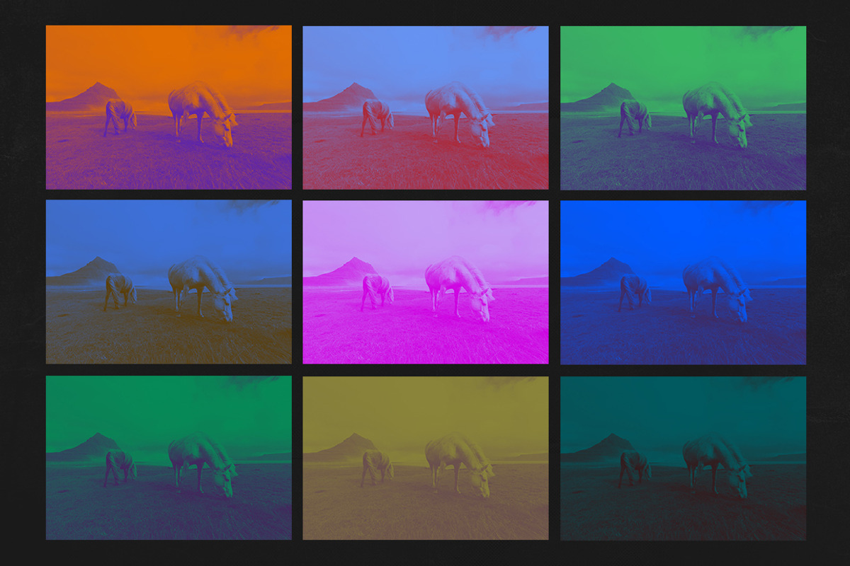 Duotone Photoshop Action, an Action Add-On by Kovalski (Photo 6 of 9)