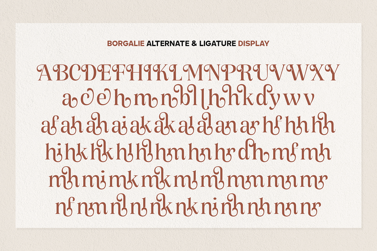 Borgalie, a Serif Font by Wildan Type (Photo 9 of 10)