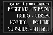 Andromeda Unique Display Typeface, a Serif Font by Absonstype (Thumbnail 2 of 11)