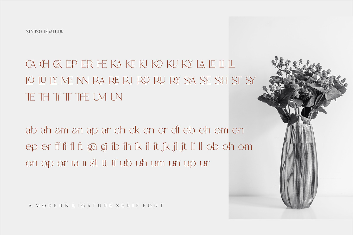 Ranse Modern Ligature Serif Font, a Serif Font by Dylla_studio (Photo 12 of 12)