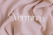 Vermina - Alternate Sans Serif, a Sans Serif Font by Flawless And Co (Thumbnail 1 of 10)