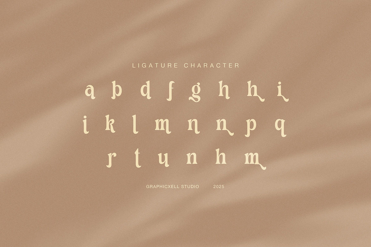 Quine Camera Elegant Serif Font, a Serif Font by Graphicxell (Photo 8 of 8)
