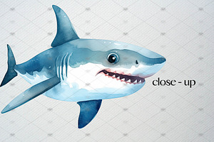 Watercolor Baby Shark Clipart Set