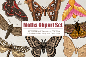 Moth Illustration Vector Set, an Illustration by Kusumaillustration