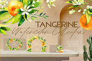 Tangerine Watercolor Collection, a Wallpaper Graphic by Natasha Koltsova (Thumbnail 2 of 7)