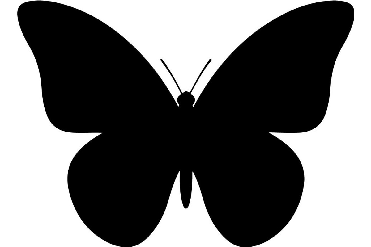 Elegant Butterfly Silhouette, an Object Graphic by Designer_Momina (Photo 13 of 18)