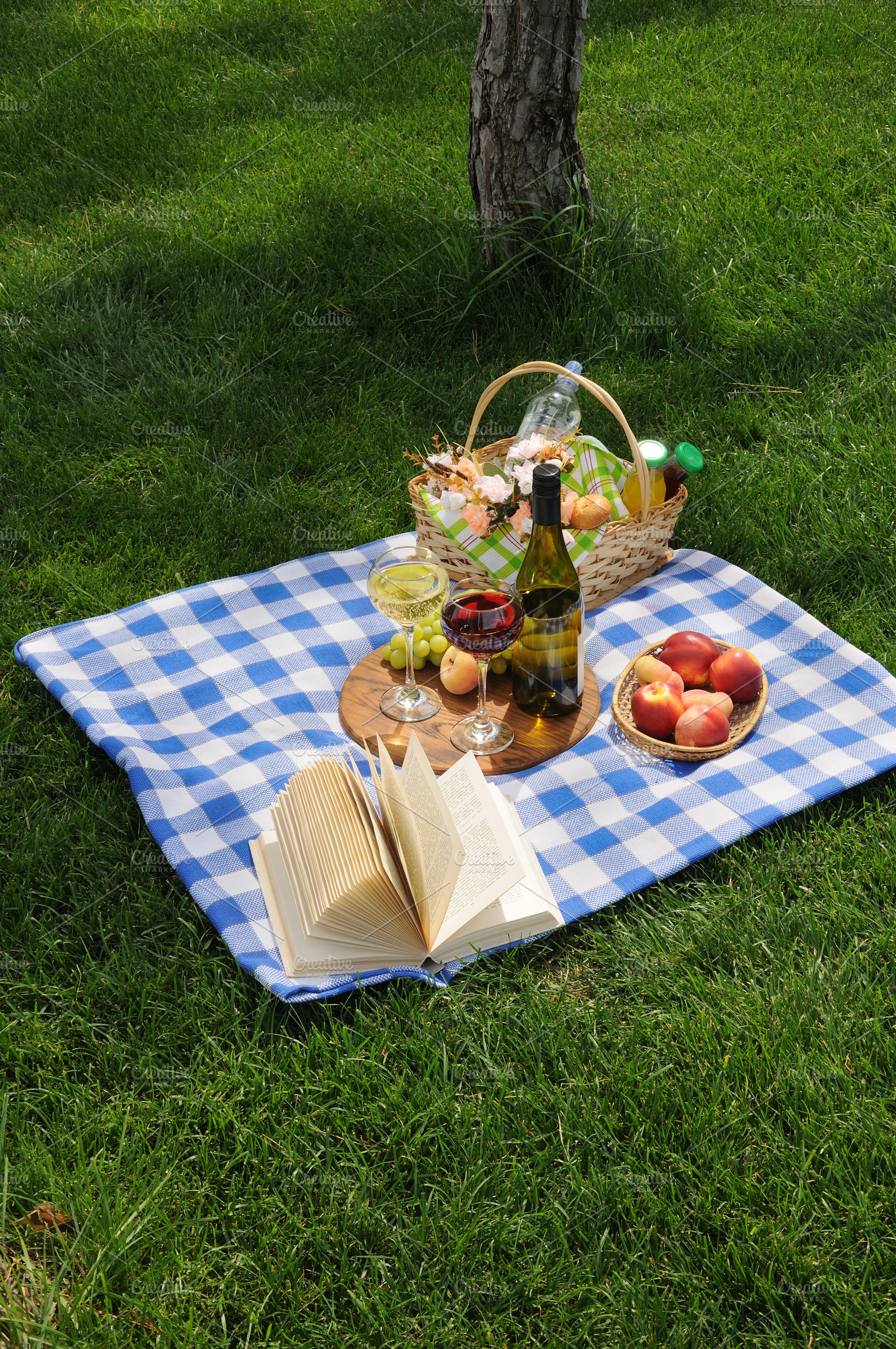 Picnic on the green lawn, a Food & Drink Photo by Apolonia