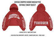Vintage Cropped Hoodie Mockup PSD, a Hoody Mockup by std.badboy (Thumbnail 1 of 4)