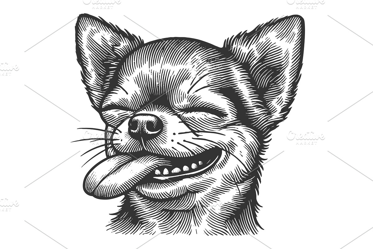 Chihuahua with Calm Expression, an Animal Illustration by AlexArt