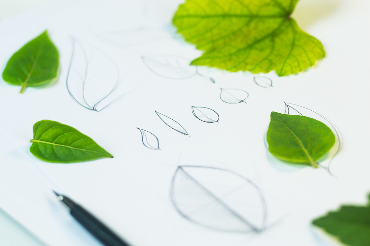 Vector Leaf Alphabet [Vector], an Object Graphic by Chuhastock (Photo 3 of 12)