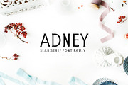 Adney Slab Serif Font Family, a Slab Serif Font by Creativetacos (Thumbnail 1 of 5)