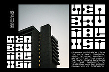 Neo Brutalist Display Font