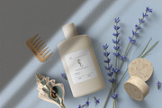 Silver Breeze Collection, a Decorative Illustration by Michael Rayback Design (Thumbnail 9 of 10)
