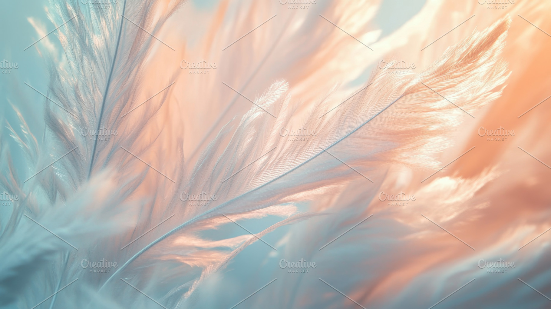 Soft pastel feathers in gentle motion, an Abstract Photo by Natalia Klenova's Shop