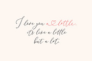 Little Love - for Templett & Corjl, a Script Font by Blessed Print (Thumbnail 9 of 25)