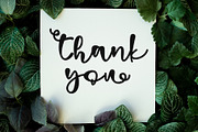 Spring Sunshine, a Script Font by Letterara (Thumbnail 7 of 7)