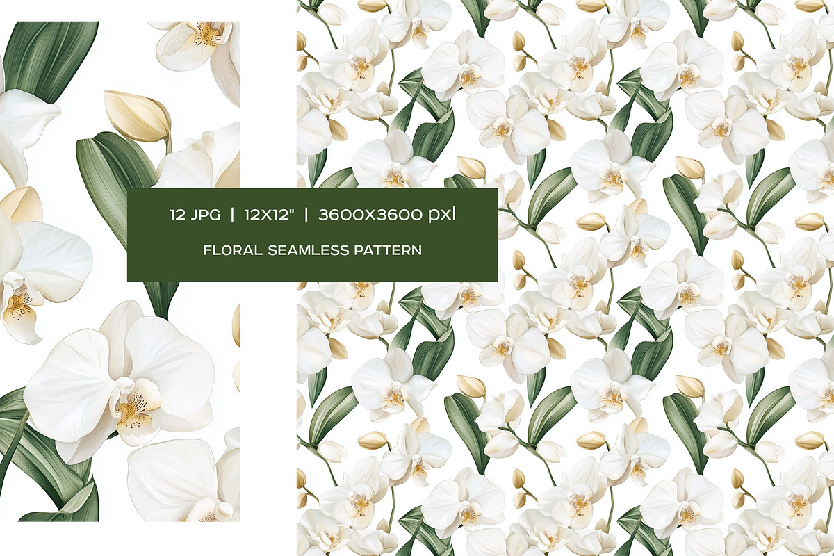 Watercolor white flowers patterns, a Pattern Graphic by Art and Funny (Photo 6 of 7)