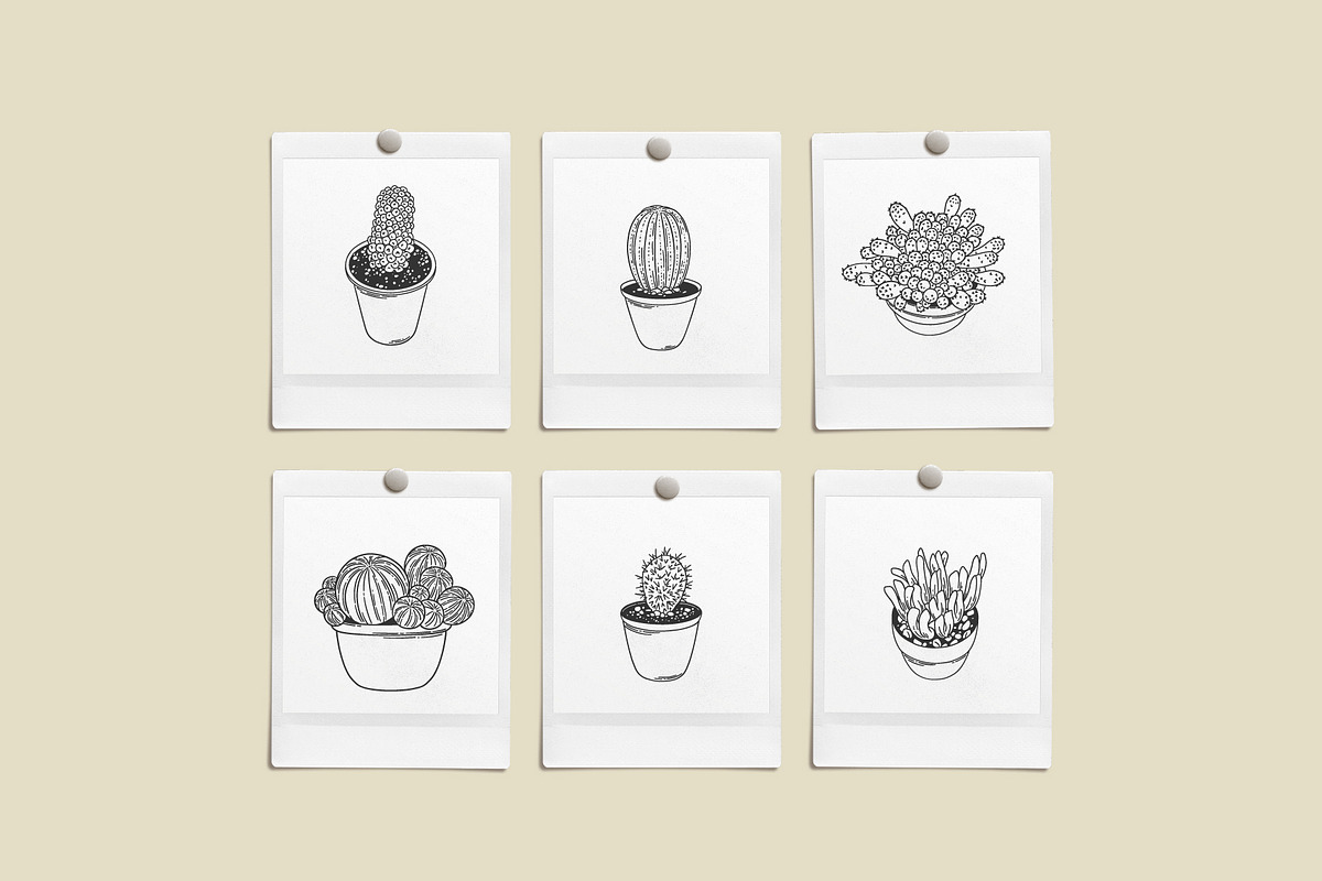 Succulents Vector Illustrations, a Decorative Illustration by Emma Webb Studio (Photo 4 of 6)