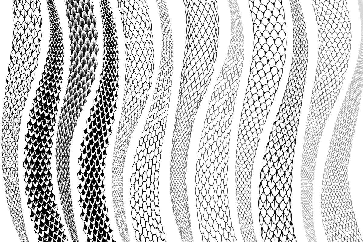 Ultimate Snake Kit Procreate Brushes, a Brush Add-On by InkRef (Photo 4 of 5)