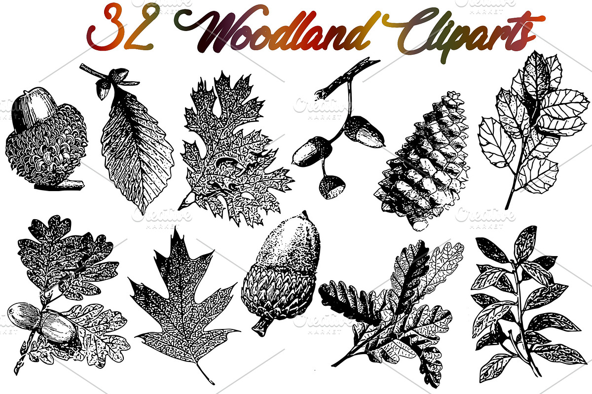 Sale 50% OFF 32 Woodland vectors, an Object Graphic by Alexandra Fulger (Photo 4 of 5)