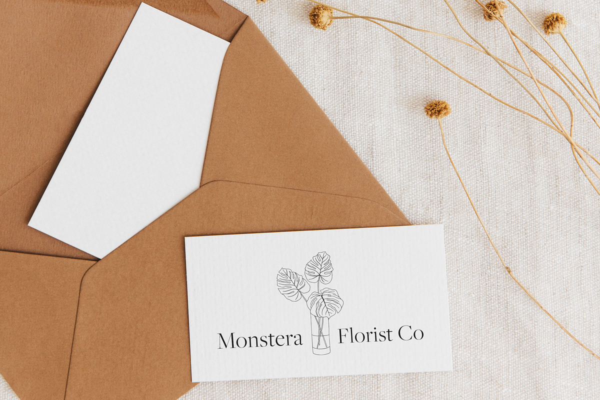 House Plant-Vector Illustration Pack, an Illustration by Lovendear Design (Photo 9 of 9)