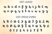 Tingler duo - two handwritten fonts, a Script Font by Missy Meyer (Thumbnail 2 of 10)
