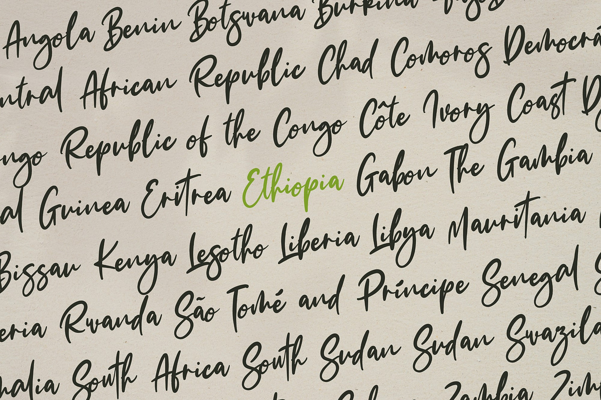 The Fashionist + Extras, a Script Font by Masanis (Photo 12 of 20)