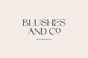 Maigre - Modern Serif, a Serif Font by Prioritype Co (Thumbnail 9 of 15)