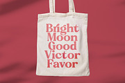 Regina Bonita Modern Retro Serif, a Serif Font by timelesstype.co (Thumbnail 11 of 20)