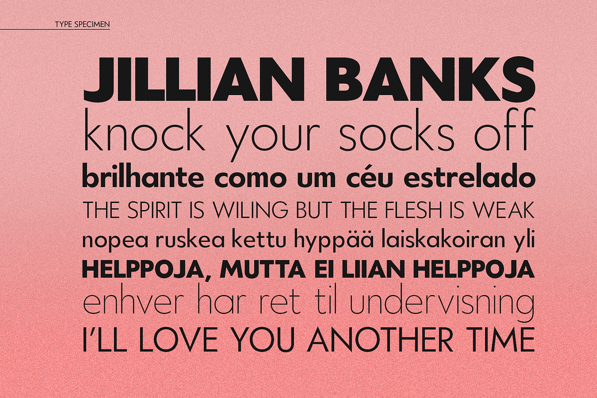 Hauslan [90% OFF], a Sans Serif Font by Alvotype (Photo 2 of 5)