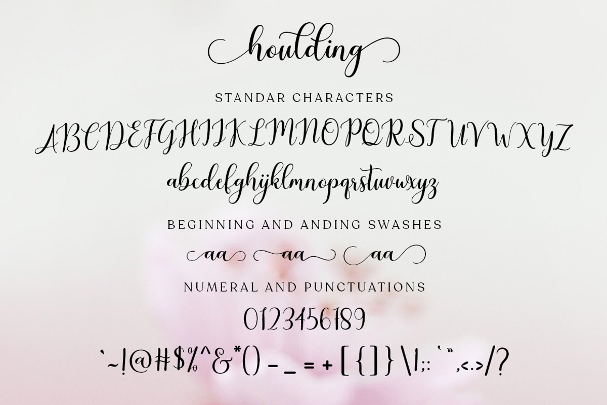 Houlding Script, a Script Font by Zane Studio (Photo 7 of 7)