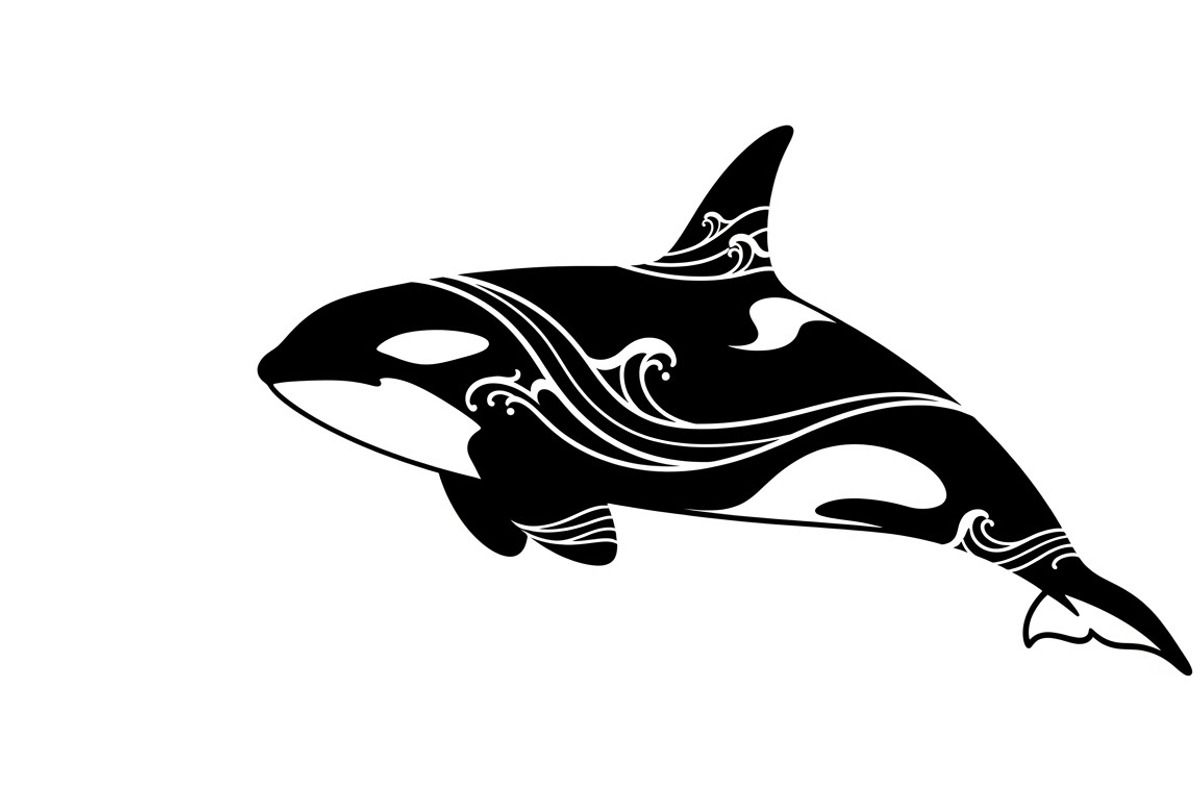 Ocean Marine Animal Silhouette, an Illustration by Amazin_art (Photo 11 of 31)