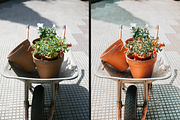AMBER LIGHTROOM MOBILE PRESET, an Action Add-On by LOTA_CREATIONS (Thumbnail 7 of 12)