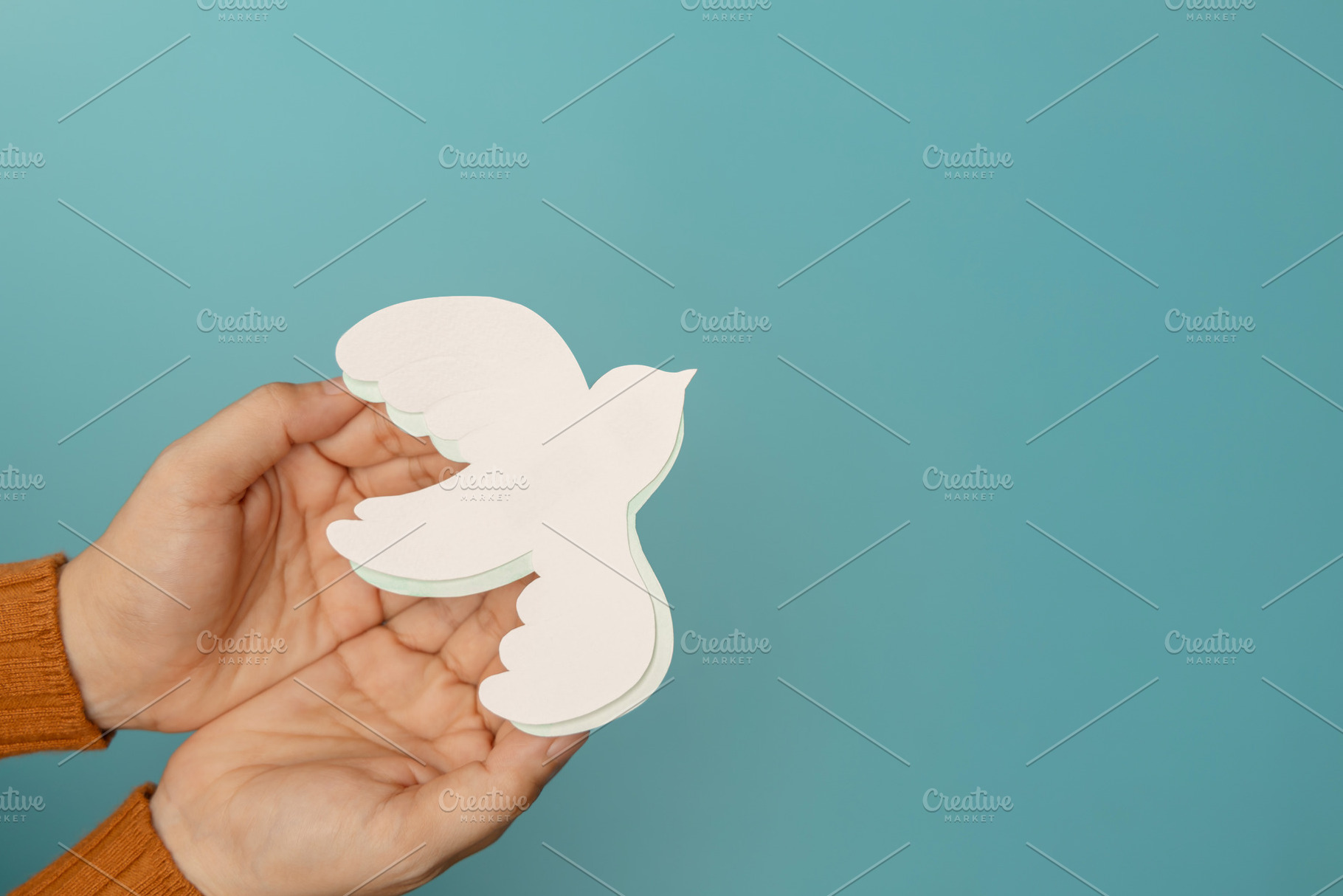 Hands gently holding white dove symbolizing peace, Freedom, harm, a Photo by salmon.black