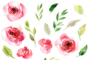 Watercolor Pink Roses Flowers Leaves