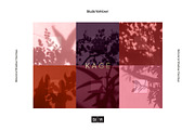 Kage - Botanical Shadow Overlays, a Texture Graphic by Studio Yorktown (Thumbnail 1 of 10)