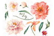 Peony chic, an Illustration by Eisfrei (Thumbnail 3 of 6)