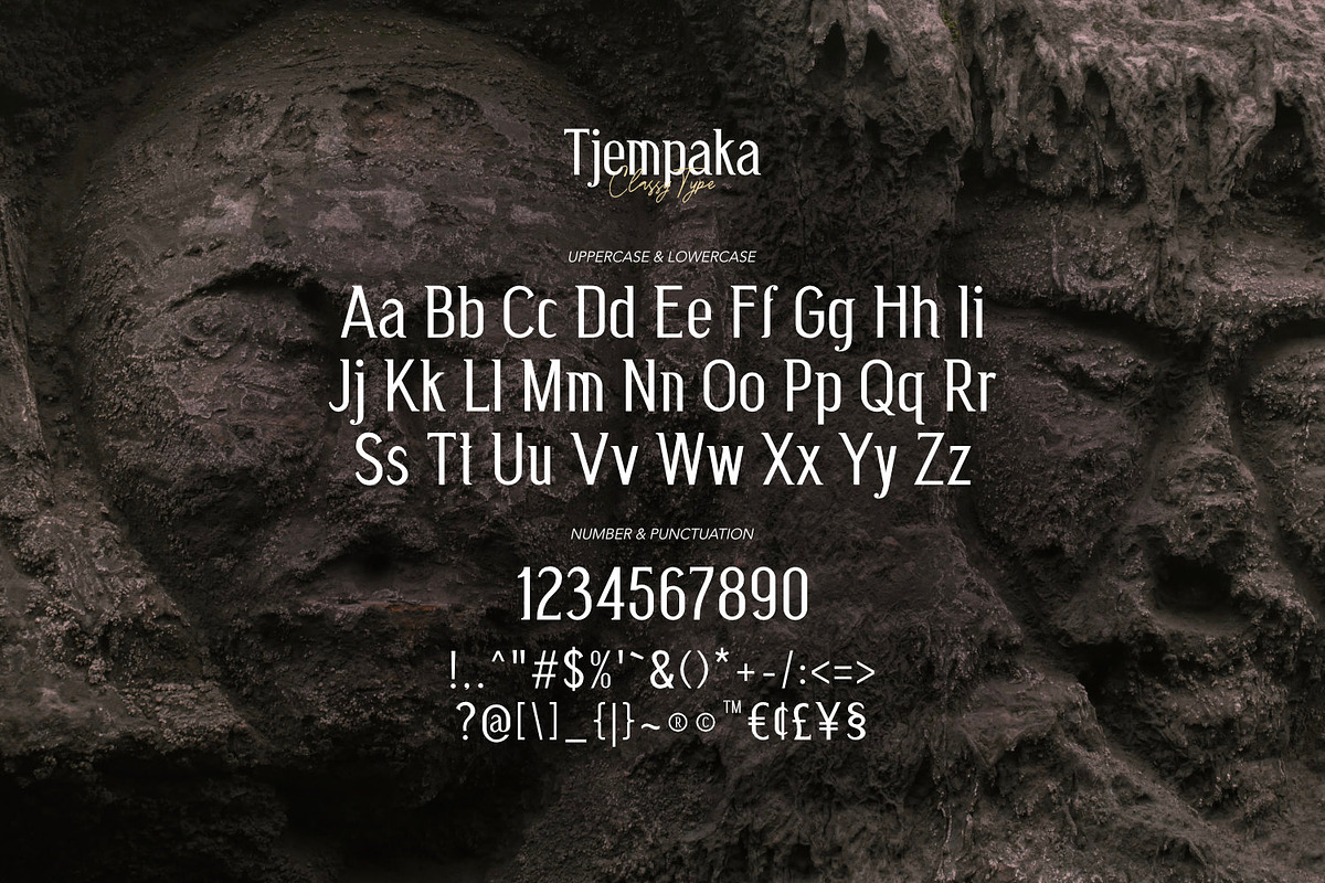 Tjempaka - Classy Type, a Serif Font by ikiiko (Photo 6 of 7)