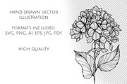 Hydrangea Flowers Line Art SVG, a Decorative Illustration by Dervik Art Store (Thumbnail 6 of 6)