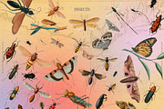 Incredible Collage, an Object Graphic by nadispasibenko (Thumbnail 15 of 15)