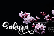 Sunday Morning Script Font, a Script Font by Monoco Type Foundry (Thumbnail 5 of 11)